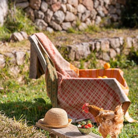 Agroturismo Son Viscos Валдемоса Екстериор снимка