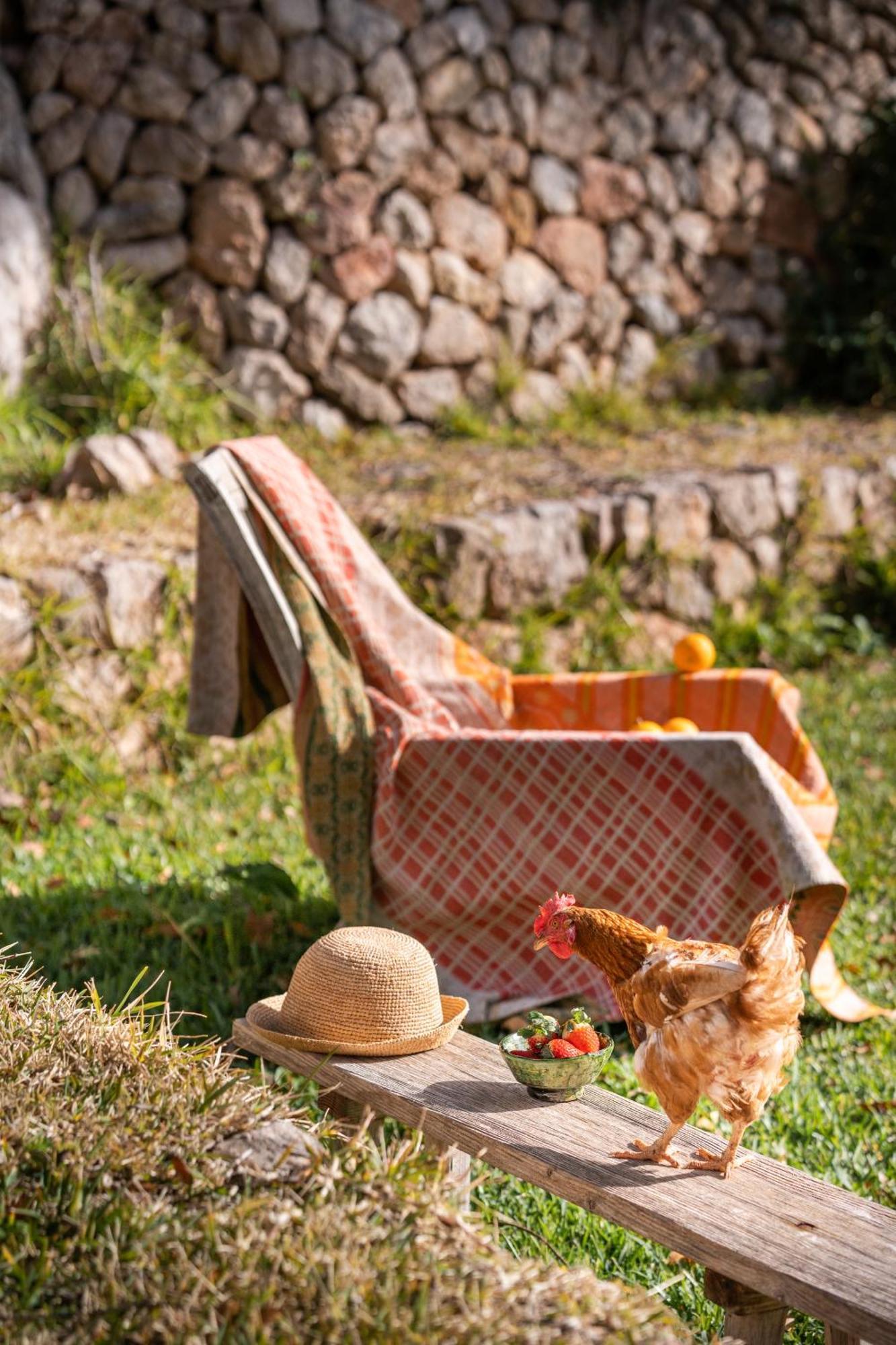 Agroturismo Son Viscos Валдемоса Екстериор снимка